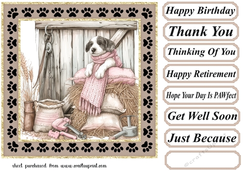 Its a dogs life on the farm card front 1