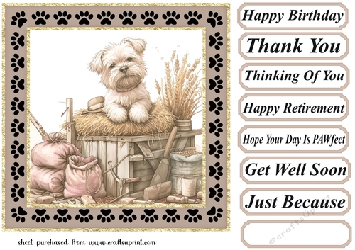 Its a dogs life on the farm card front 2