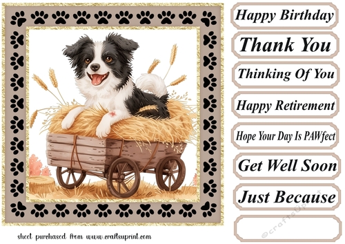 Its a dogs life on the farm card front 3