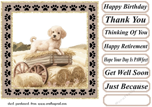 Its a dogs life on the farm card front 4