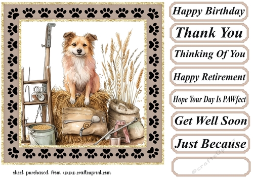 Its a dogs life on the farm card front 6