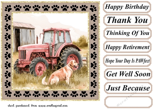 Its a dogs life on the farm card front 11