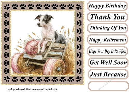 Its a dogs life on the farm card front 14