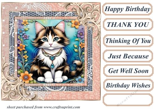 Framed floral kitten card front 1