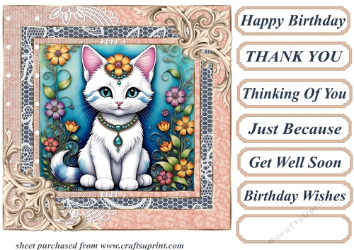 Framed floral kitten card front 6