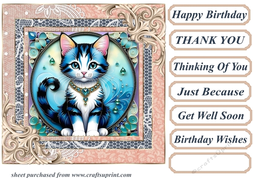 Framed floral kitten card front 7