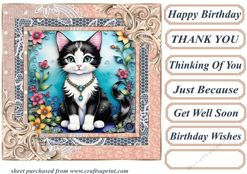 Framed floral kitten card front 8