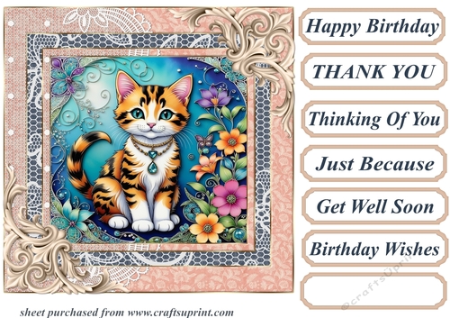 Framed floral kitten card front 10