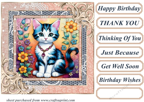 Framed floral kitten card front 11