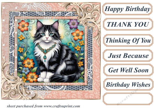 Framed floral kitten card front 12
