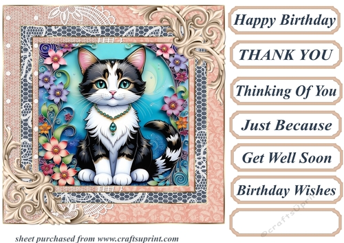 Framed floral kitten card front 14