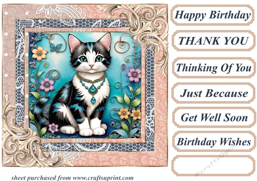 Framed floral kitten card front 15