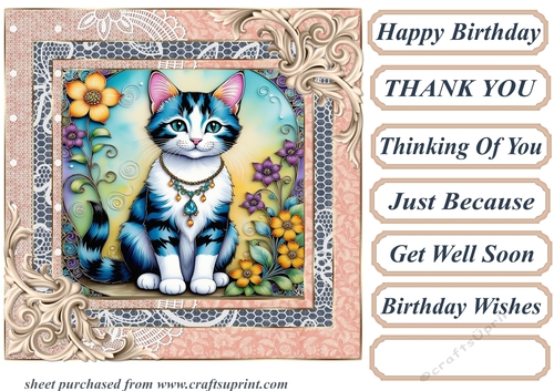 Framed floral kitten card front 16