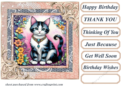 Framed floral kitten card front 17