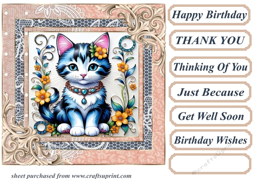 Framed floral kitten card front 18