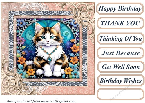 Framed floral kitten card front 21