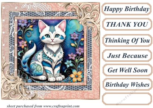 Framed floral kitten card front 22