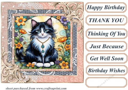 Framed floral kitten card front 23