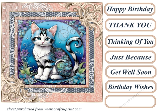 Framed floral kitten card front 24