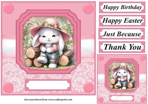 Pink daisy bunny card front 5