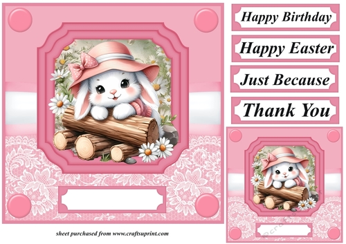 Pink daisy bunny card front 8