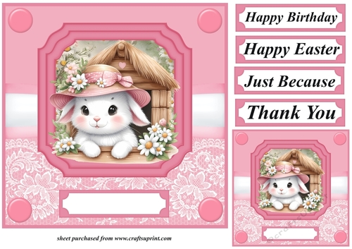 Pink daisy bunny card front 11