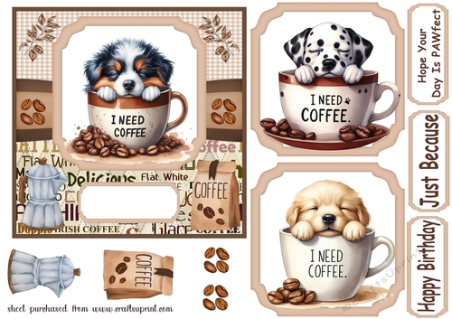 6x6 aprox I need coffee pup card front 7