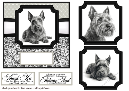 6x6 aprox Mono Scottish terrier card front 1