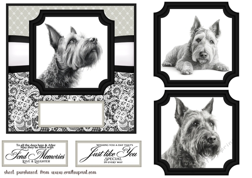 6x6 aprox Mono Scottish terrier card front 2