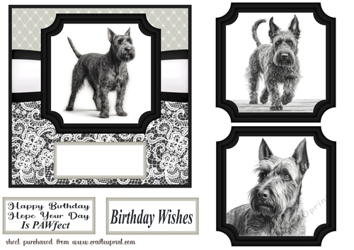 6x6 aprox Mono Scottish terrier card front 3