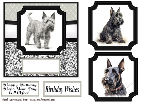6x6 aprox Mono Scottish terrier card front 4