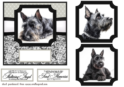 6x6 aprox Mono Scottish terrier card front 7