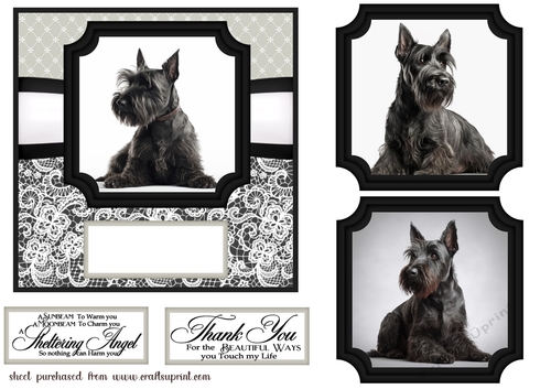 6x6 aprox Mono Scottish terrier card front 8