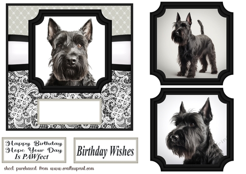 6x6 aprox Mono Scottish terrier card front 9