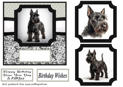 6x6 aprox Mono Scottish terrier card front 10