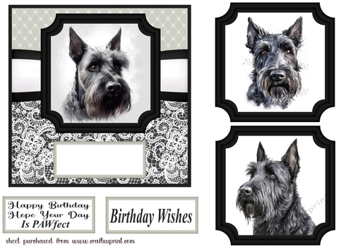 6x6 aprox Mono Scottish terrier card front 11