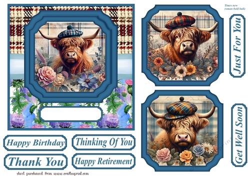 6x6 aprox Scottish Highland cow card front 1
