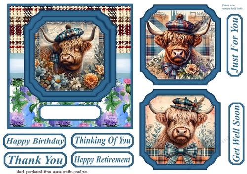 6x6 aprox Scottish Highland cow card front 2