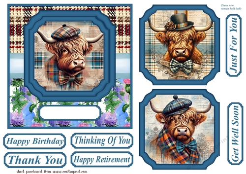 6x6 aprox Scottish Highland cow card front 4