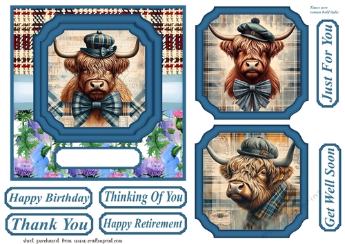 6x6 aprox Scottish Highland cow card front 5
