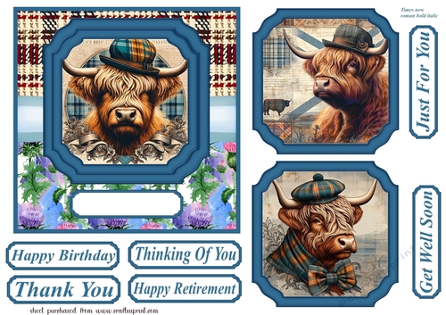 6x6 aprox Scottish Highland cow card front 6