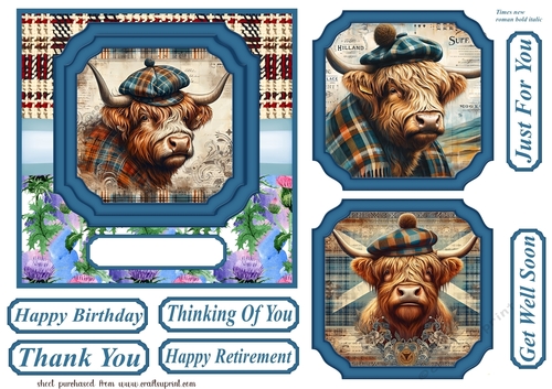 6x6 aprox Scottish Highland cow card front 7