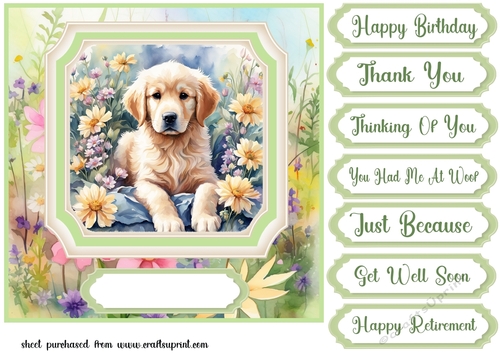Framed floral puppy card front 1