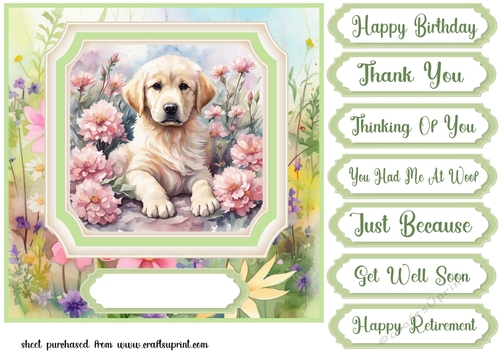 Framed floral puppy card front 2