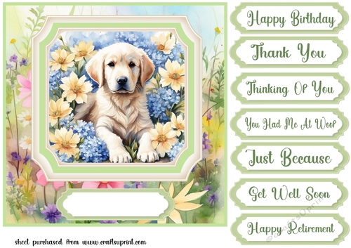 Framed floral puppy card front 3