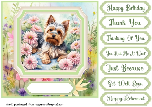 Framed floral puppy card front 4