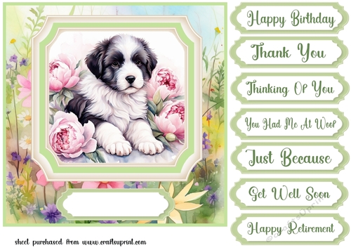 Framed floral puppy card front 5
