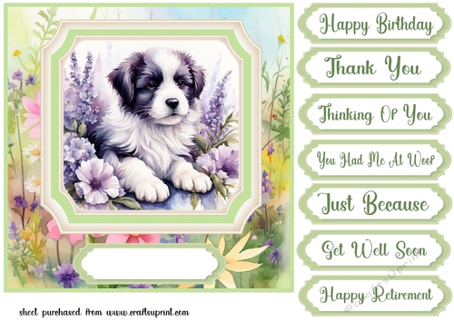Framed floral puppy card front 6