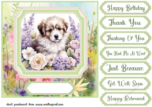 Framed floral puppy card front 7