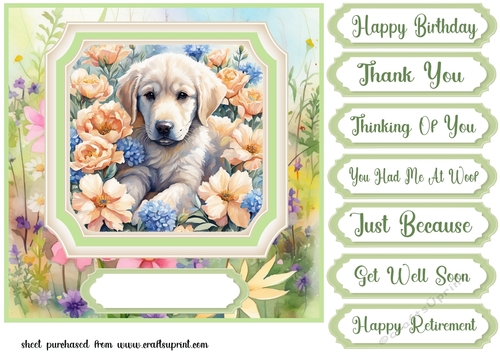 Framed floral puppy card front 8